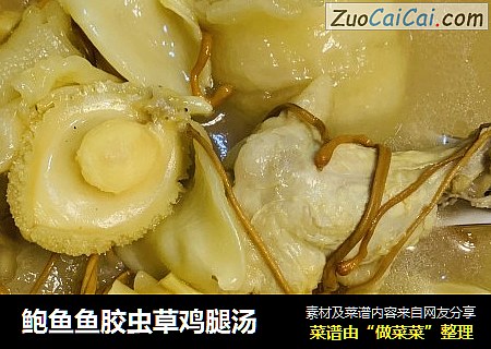 鲍鱼鱼胶虫草鸡腿汤
