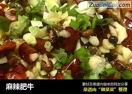 麻辣肥牛