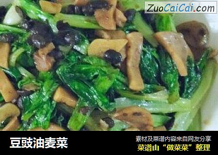 豆豉油麦菜