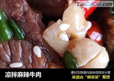 凉拌麻辣牛肉