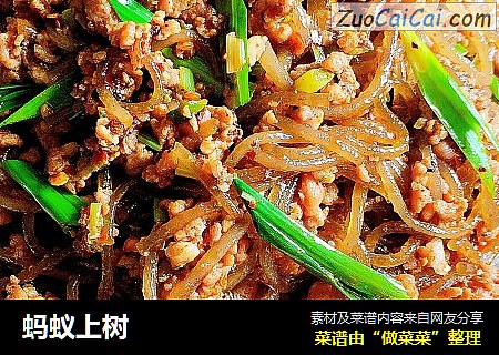 蚂蚁上树
