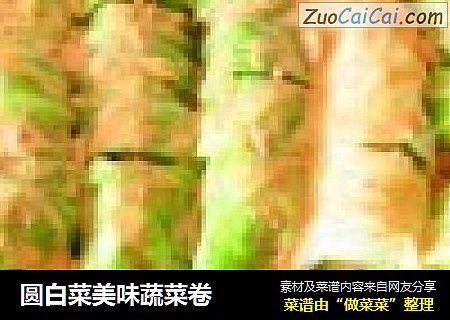 圆白菜美味蔬菜卷