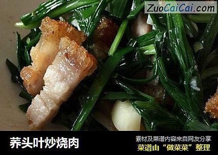 荞头叶炒烧肉