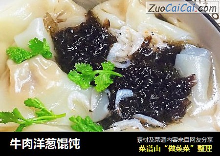 牛肉洋葱馄饨