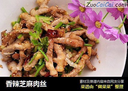 香辣芝麻肉丝