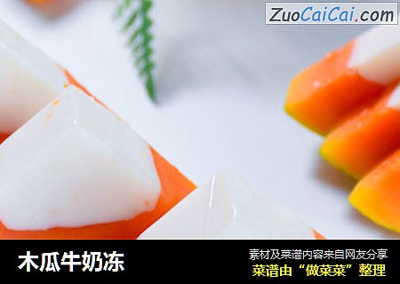 木瓜牛奶冻