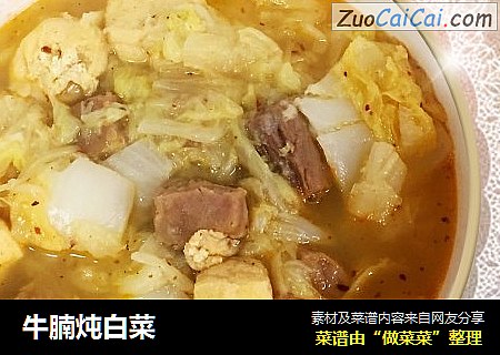 牛腩炖白菜