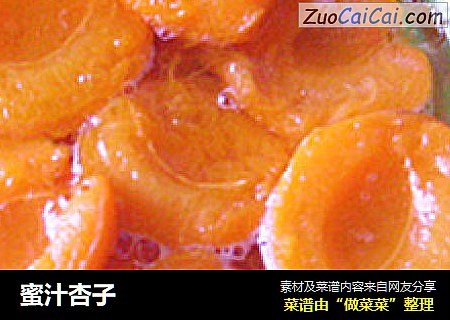 蜜汁杏子