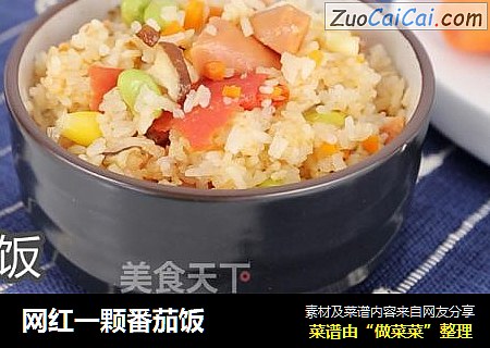 网红一颗番茄饭