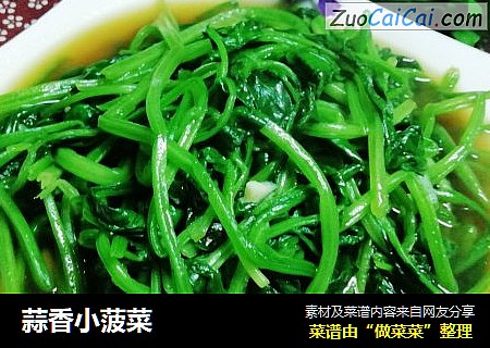 蒜香小菠菜
