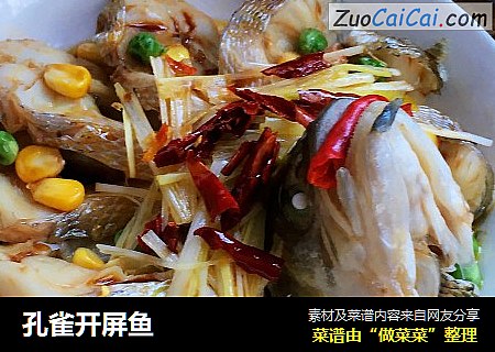 孔雀开屏鱼