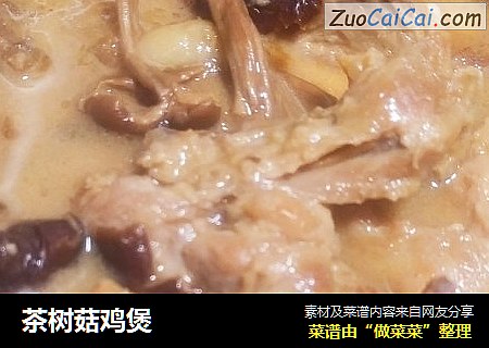 茶树菇鸡煲