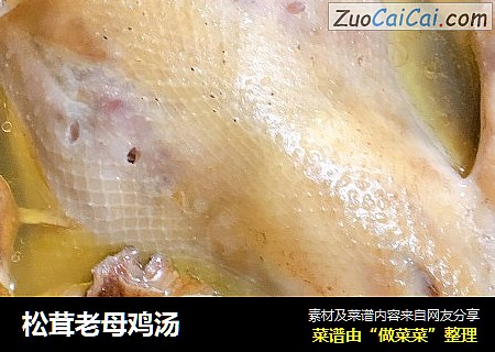 松茸老母鸡汤