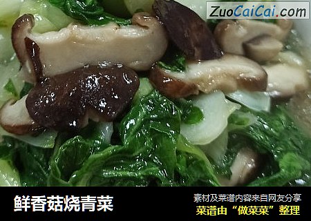 鲜香菇烧青菜