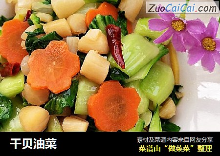 干贝油菜
