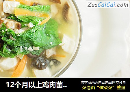 12个月以上鸡肉菌菇豆腐汤