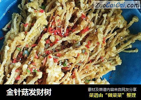 金针菇发财树