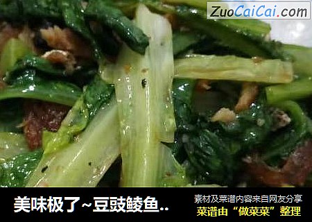 美味极了~豆豉鲮鱼油麦菜