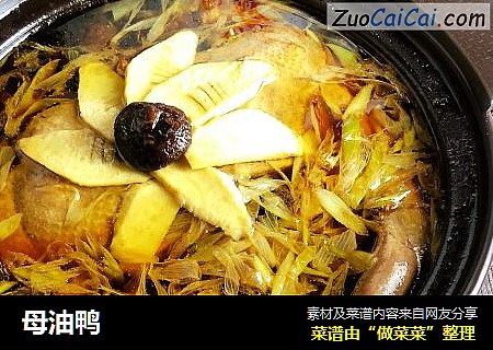 母油鸭