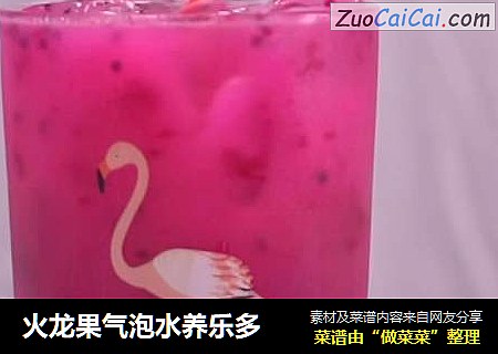 火龙果气泡水养乐多