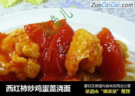 西红柿炒鸡蛋盖浇面