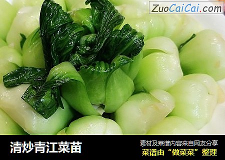 清炒青江菜苗