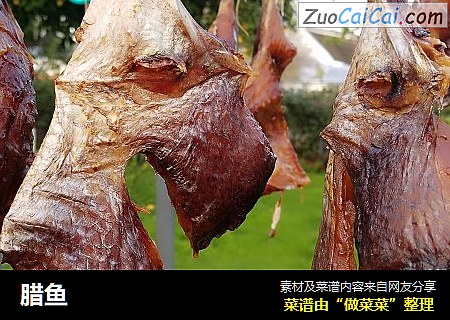 腊鱼