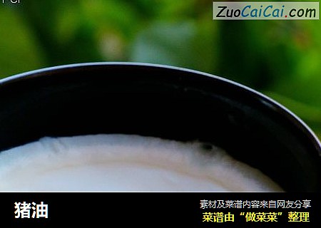 猪油