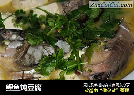 鲤鱼炖豆腐