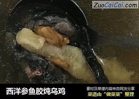 西洋参鱼胶炖乌鸡