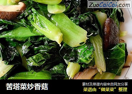 苦塔菜炒香菇