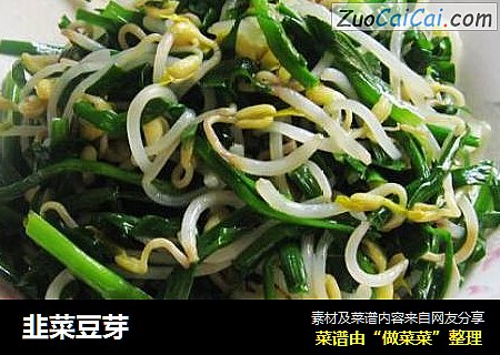 韭菜豆芽