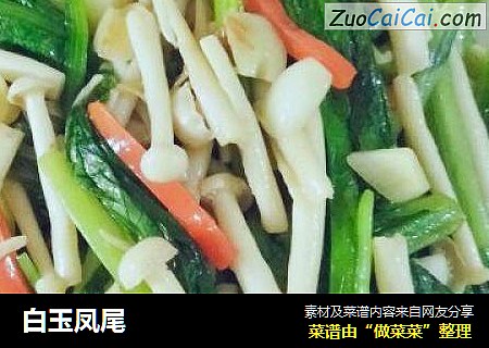 白玉凤尾