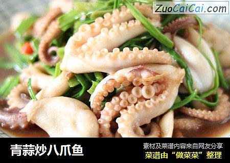 青蒜炒八爪鱼