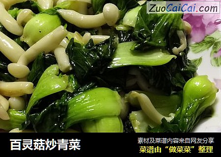 百灵菇炒青菜