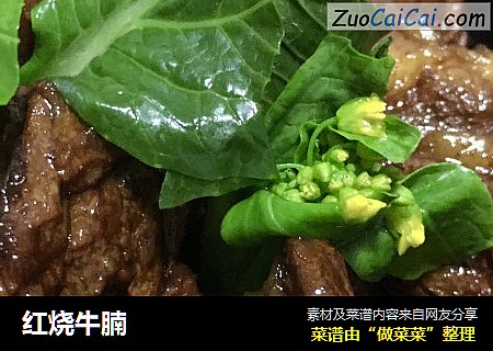 红烧牛腩