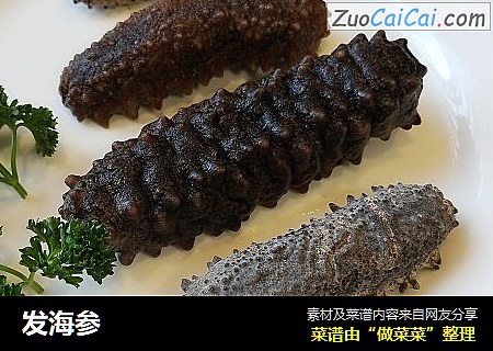 发海参