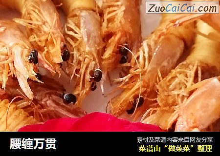 腰缠万贯