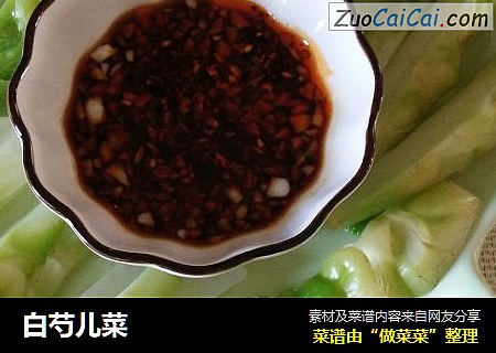 白芍儿菜