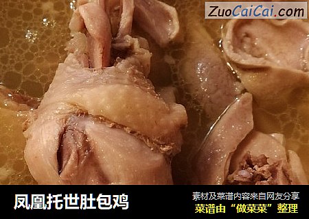 凤凰托世肚包鸡