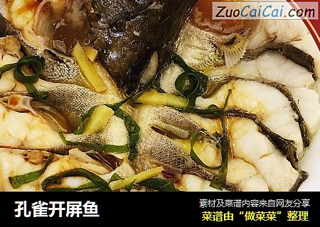 孔雀开屏鱼