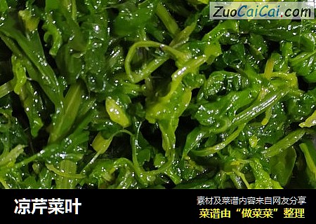 凉芹菜叶
