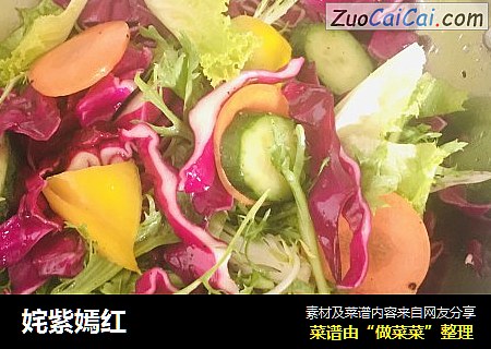姹紫嫣红
