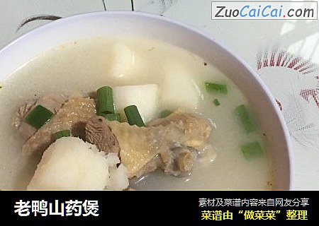 老鸭山药煲