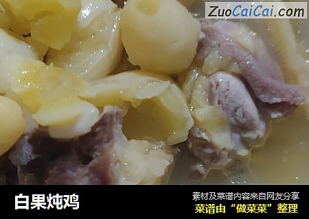 白果炖鸡