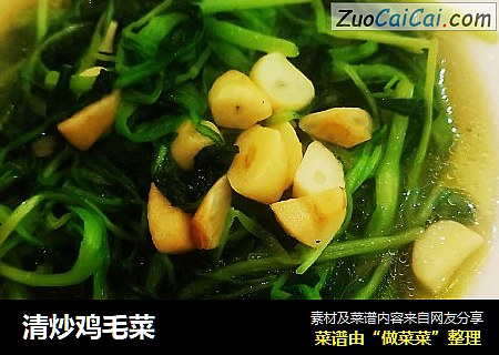清炒鸡毛菜