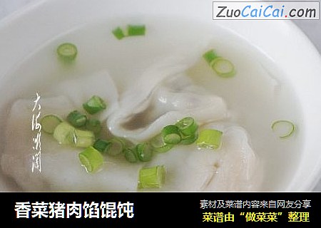 香菜猪肉馅馄饨