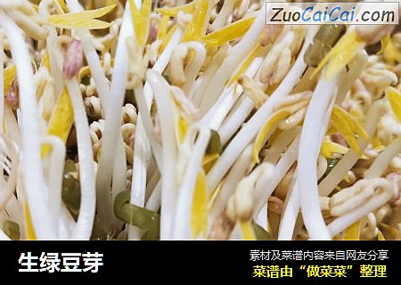 生绿豆芽