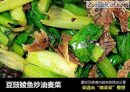豆豉鲮鱼炒油麦菜