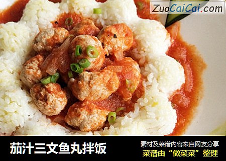 茄汁三文鱼丸拌饭